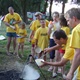 BMS - elemózsia
