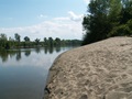 homokpad Tisza