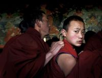 tibet - Tibet topper
