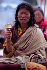 tibet - tibeti ember